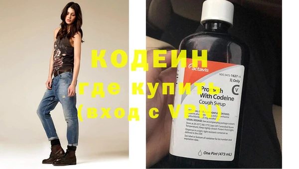 хмурый Лиски
