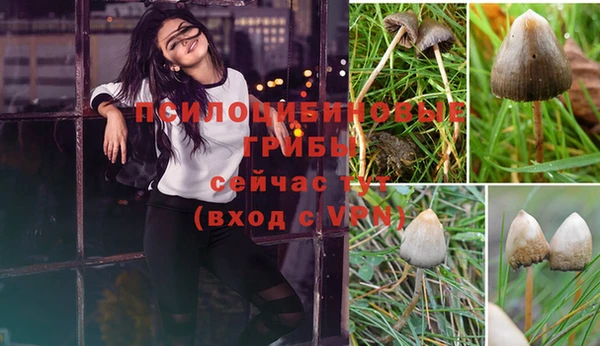 mdma Майский
