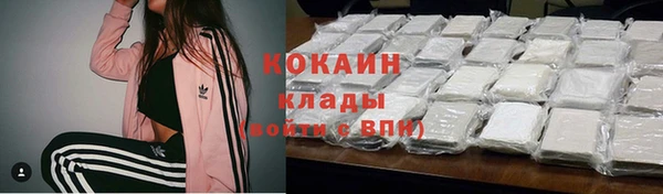 хмурый Лиски