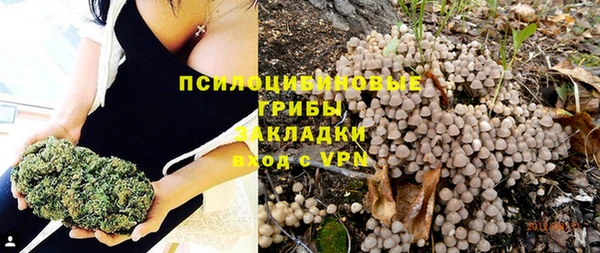 дурь Липки