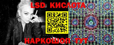 дмт Гатчина