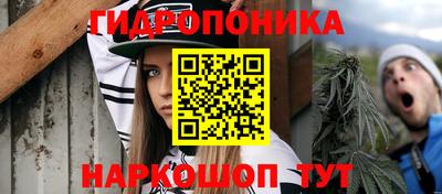 дмт Гатчина