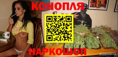 дмт Гатчина